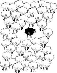 Black And White Sheep Drawing Black Sheep Idiom Sheep Illustration Sheep Drawing Sheep Art
