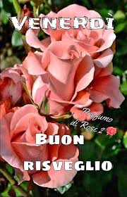 Risultato immagini per venerdi con rose