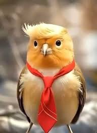 Le «connard», profil psychosocial type de Donald Trump par Eric La Blanche,  essayiste, dans une tribune publiée par Libération, le 31/03/2026. > Le  choix de ce terme peut faire sourire ou choquer.