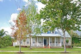 406 homes for sale in santa rosa, ca. Santa Rosa Valley Tree Care Tree Removal Tree Trimming Spraying Injecting