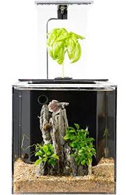 Ecoqube Aquarium Desktop Betta Fish Tank For Living Off Https Www Amazon Com Dp B01m1kci9g Ref Cm Sw R Pi D Aquaponics Betta Fish Tank Aquaponics System