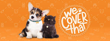 Exclusive plans and discounts are available to employees. Pet Insurance Coverage Aspca Pet Health Insurance
