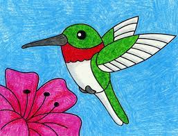 Maybe you would like to learn more about one of these? How To Draw A Hummingbird Art Projects For Kids