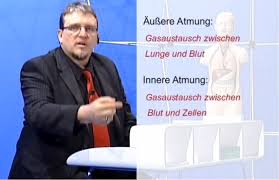 Dabei wird beim einatmen sauerstoff aus der umgebung aufgenommen und beim ausatmen kohlendioxid abgegeben. Unterschiede Innere Und Aussere Atmung Blog Loadmedical Com