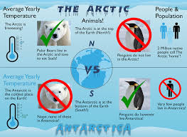 Arctic Vs Antarctic Google Search Polar Bears Live Learning Websites For Kids Arctic