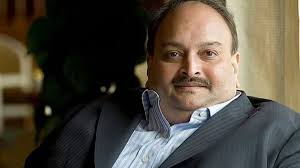 Mehul choksi has no reason to leave antigua, claims his lawyer. Volsmazozoplnm