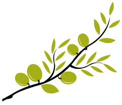 B Olive B B Branch B Clip B Art B Olive Branch Branch Drawing Clip Art