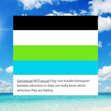 And this is only the tip of the iceberg. Quoisexual Dictionary Com