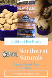 Northwest Naturals Freeze Dried Raw Review Dog Food Recipes Healthy Dog Food Recipes Dog Food Reviews