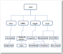 Organizational Structure