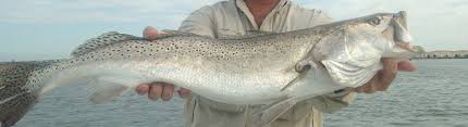 Gabrielle rodmaker | the meaning of life is to find your gift. Community Anglers Resource