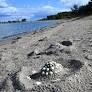 Strömstad Municipal Parties Unite on Ecological Sustainability with Calls for Concrete Action