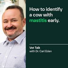 Boehringer Ingelheim