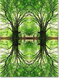 These are the easy steps by following which you can make mirror image in photoshop. Flip Rotate And Mirror Designs And Patterns In Photoshop Mirror Designs Photoshop Mirror Photo Effects