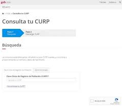 Descargar La Curp Gratis En Pdf En 2021 Formato Original