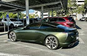 Image result for Nori Green 2022 LC