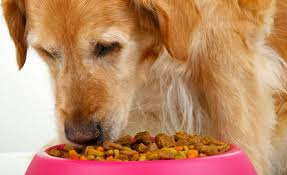These acids reduce kidney inflammation, prevent oxidative stress to the kidney tissue, and promote a cat's longevity. 6 Best Dog Foods For Kidney Disease 2021 Reviews