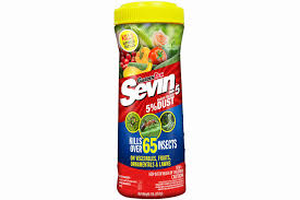 Why a camel cricket infestation is problematic. Kill Over 65 Insects Sevin 5 Ready To Use 5 Dust Sevin