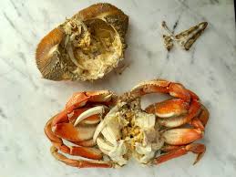 Ketam kenari atau disebut kepiting kelapa (nama ilmiah: Cara Membersihkan Ketam Segar Mula Dengan Ketam Segar Dan Lively