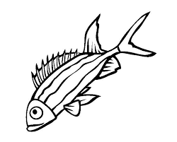 65 Sea Creature Templates Printable Crafts Colouring Pages Free Premium Templates You may be able to find the same content in another format, or you may be able to find more information, at their web site. 65 sea creature templates printable