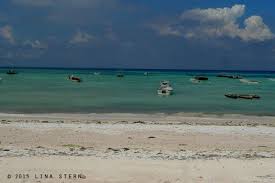 Sady Solan J Ai Grandi Dans La Mer Albert Camus Exercises In Translation By Lina Stern La Mer Albert Camus Photo