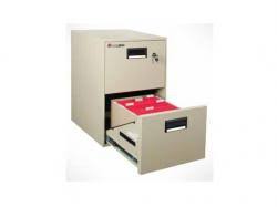 Maybe you would like to learn more about one of these? Sentrysafe Fire Proof File Cabinet 2b2100