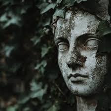 Forest Stone's Instagram, Twitter & Facebook