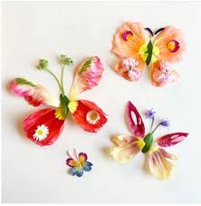 Flora Forager Butterflies Flower Petal Art Flower Art Pressed Flower Art