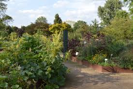 Botanischer Garten Dusseldorf