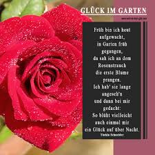 Over the time it has been ranked as high as 420 843 in the world, while most of its traffic comes from germany, where it reached as high as 14 874. á¦ ððð¢ð¥ ðð¬ ðð¢ðð¡ ð ð¢ðð­ ððð«ð® ð¡ð«ðð§ðð ðððð¢ðð¡ð­ð ð'ð©ð«ð® ðð¡ð ð®ð§ð ðð¢ð­ðð­ð Ein Wunderbares Gedicht Uber Gluck Dieses Sowie Viele Andere Gedichte Und Spruche Findet Ihr Auf Https Www Weil Es Dich Gibt Com 2020