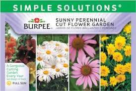 Unique flowers amazing flowers red flowers red hummingbird mixed border plant breeding full sun perennials raised flower beds plant nursery. Fred Meyer Burpee Simple Solutions Sunny Perennial Cut Flower Garden Seeds 1 Ct