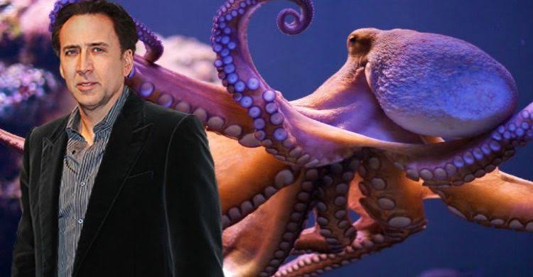 Mga resulta ng larawan para sa Nicolas Cage octopus"