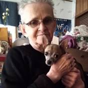 Bache Family Obituaries