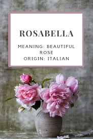 Baby Girl Name Rosabella Meaning Beautiful Rose Origin Italian Nicknames Rosa Rosie Girl Names Baby Girl Names Names With Meaning