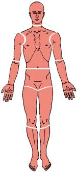 the trigger point referred pain guide