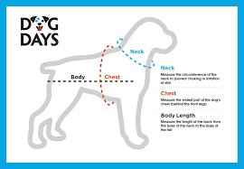 Inquisitive Dog Tail Chart 2019