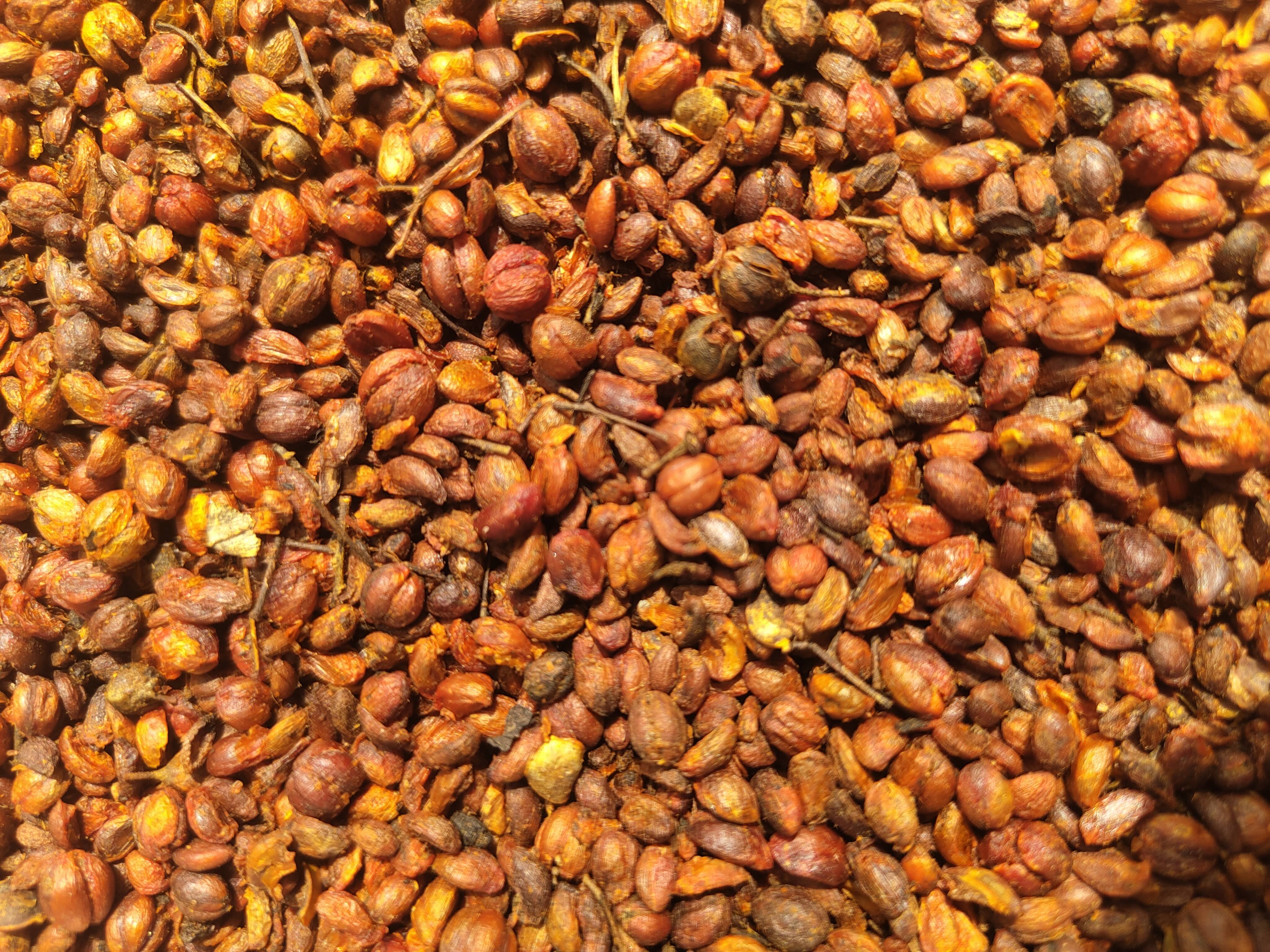 Malkangni seeds product image