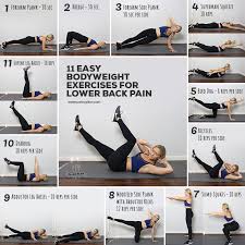 Lower back is a very important part of the back. 11 Easy Bodyweight Exercises For Lower Back Pain Paleoplan