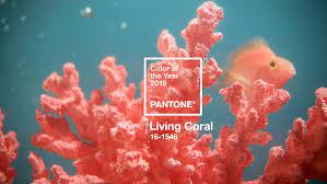 Get it as soon as wed, apr 21. Living Coral Is Pantone S Colour Of The Year For 2019