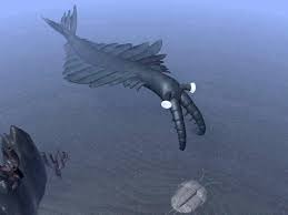 Anomalocaris (unlike other shrimp, or abnormal shrimp) is an extinct genus of radiodont (anomalocaridid), an order of animals thought to be closely related to ancestral arthropods. Anomalocaris Homepage