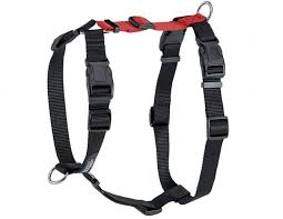 Balance Harness By Blue 9 Pet Age