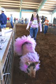 Pin On Country Girl Diva