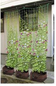 Climbing Petunia Flower Vines Vertical Garden Diy Plants Garden Trellis