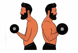 How can i make my biceps look better? How To Build Bigger Biceps Outlift
