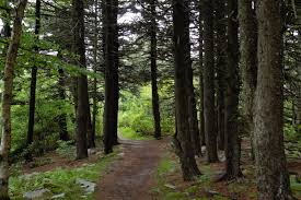 White rocks national recreation area is a united states national recreation area located in southern vermont, united states, within the green mountain national forest. Spruce Knob Seneca Rocks National Recreation Area A West Virginia National Recreation Area Located Near Elkins