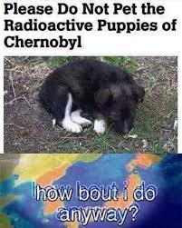 See, rate and share the best serie memes, gifs and funny pics. Chernobyl Tv Series Memes Prove That There Are Memes About Everything Others