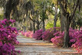 Pictures Of Savannah U S News Travel Savannah Chat Long Weekend Getaways Best Romantic Getaways