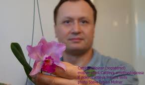 I have 3 blooms from my Cattalya and the middle flower doesn't have the  yellow lip..weird