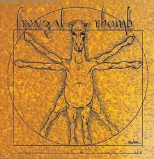 Listen to frenzal rhomb lyrics sorted by album. Frenzal Rhomb A Man S Not A Camel 1999 Cd Discogs