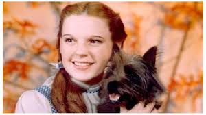 10 Famous Dogs Who Passed Away During Filming